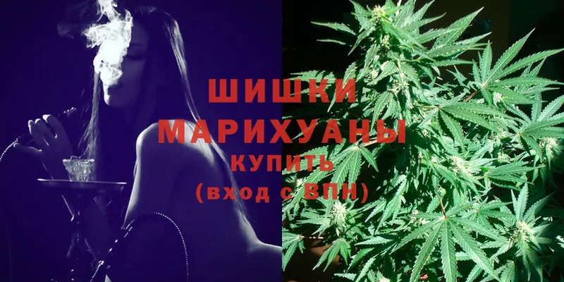 купить наркотики цена  ОМГ ОМГ ТОР  Бошки Шишки Ganja  Моздок 